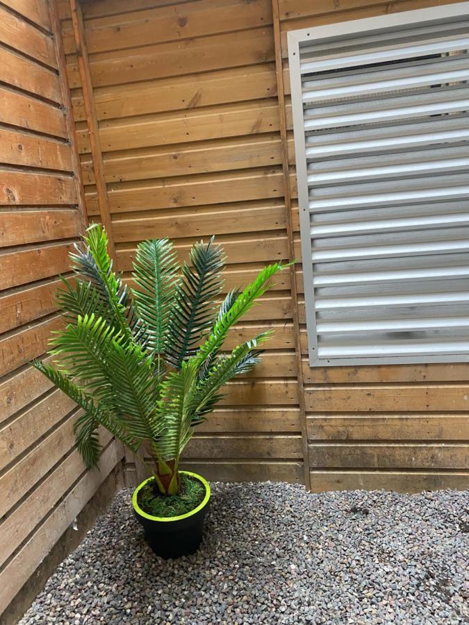Avec Jardinet Sans Vis A Vis Plein Centre Ville Au Rdc 350M De La Plage 迪耶普 外观 照片